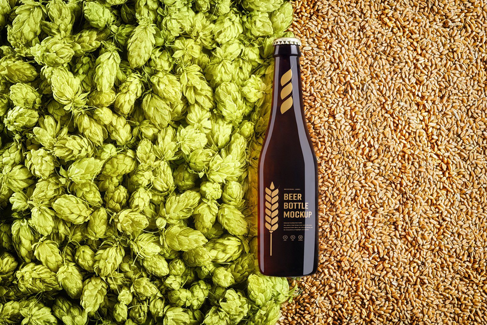 10 Mockup of a Glass Beer Bottle