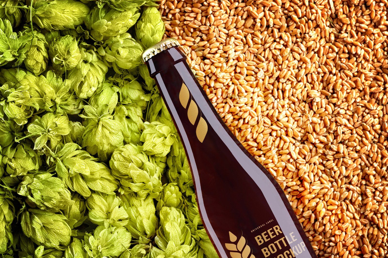 10 Mockup of a Glass Beer Bottle