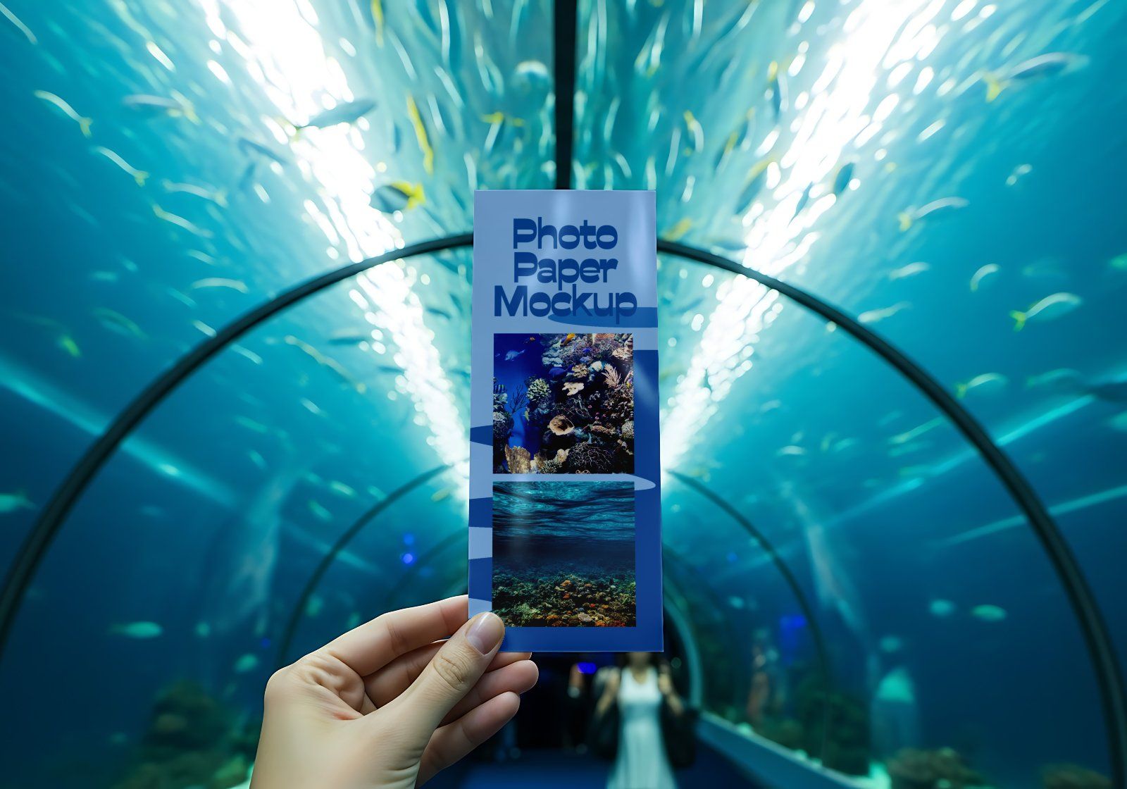 Marine Aquarium Mockup Bundle – 15 PSD Templates for Ocean Park & Underwater Branding