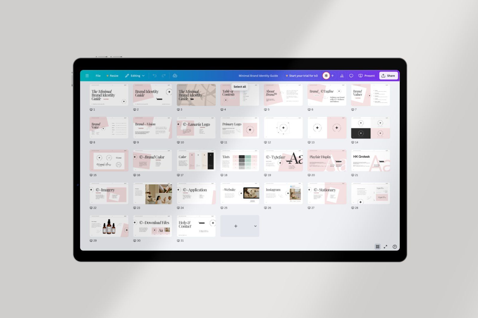 Lunaria Minimal Brand Guide Canva