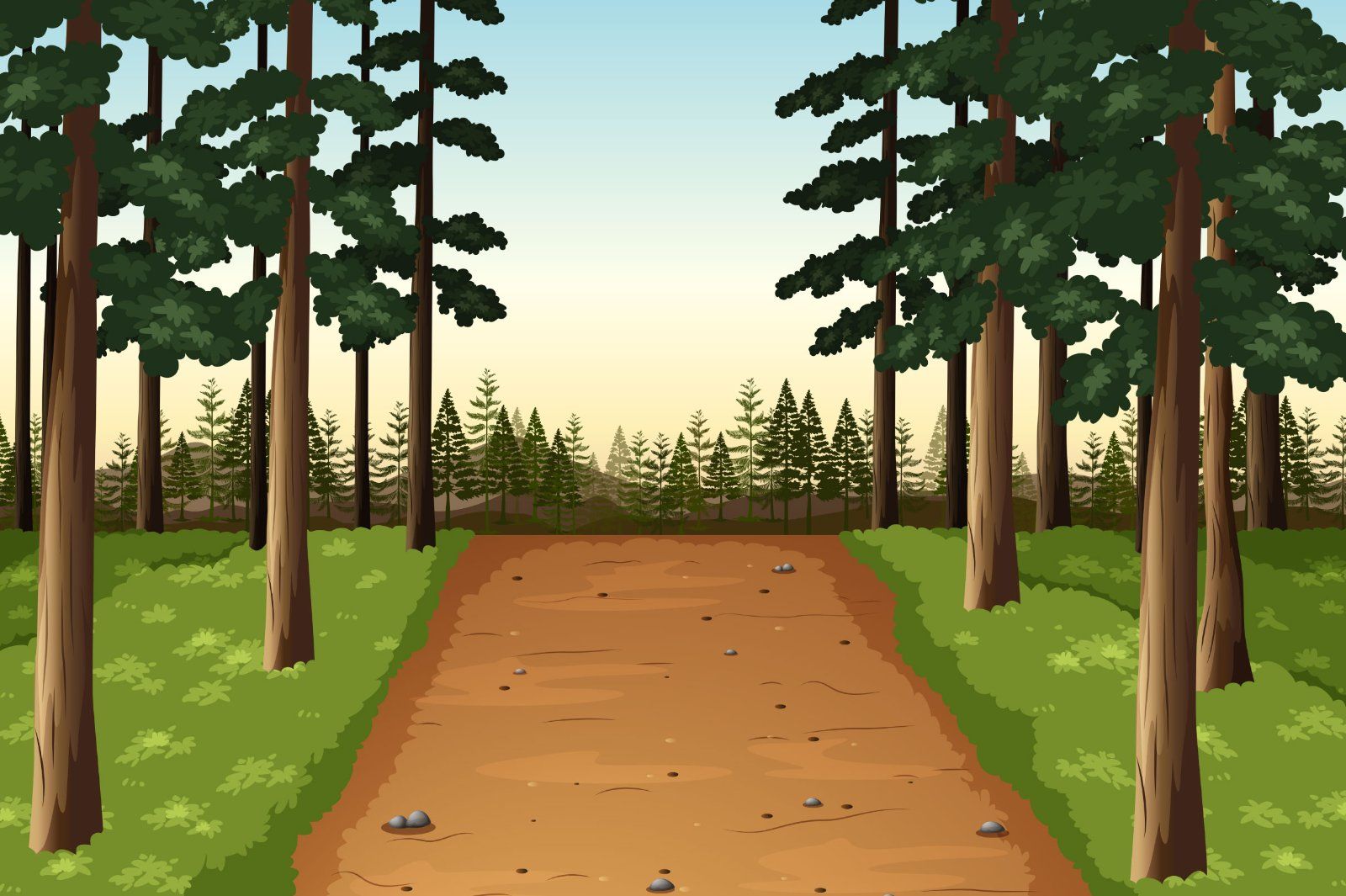 Background scene with pine forest