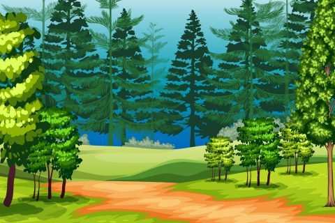 A beautiful nature landscape