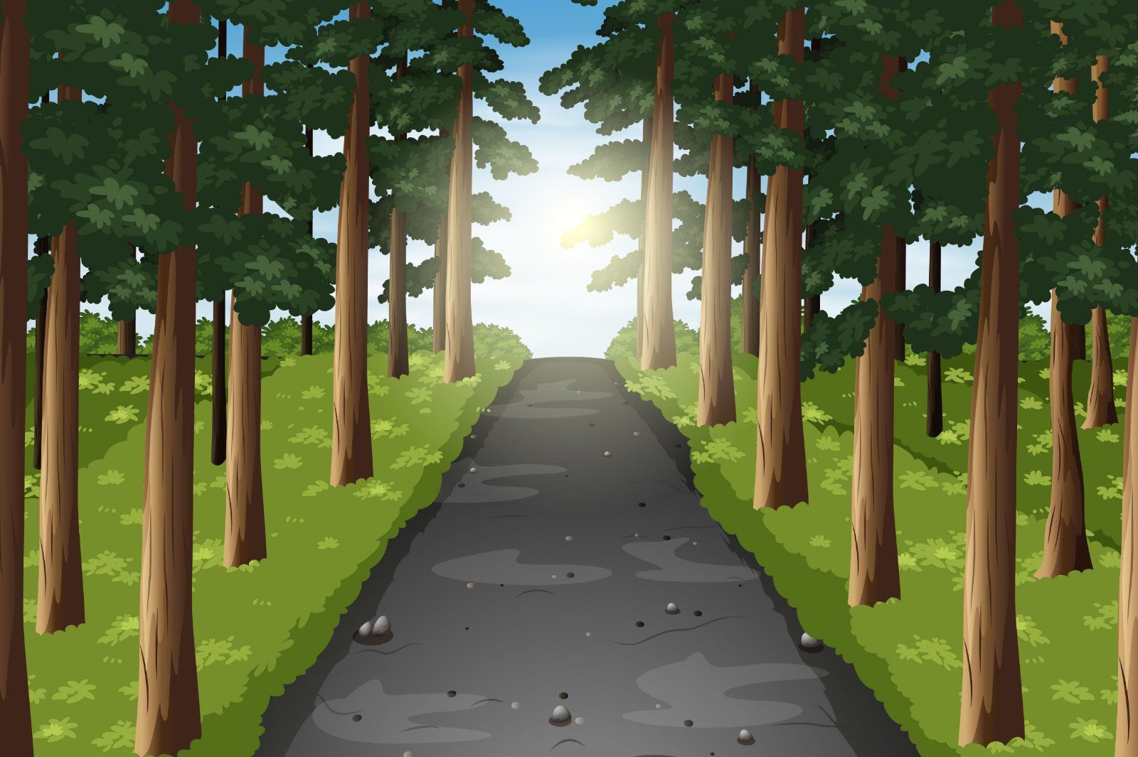 Background scene of road in the forest