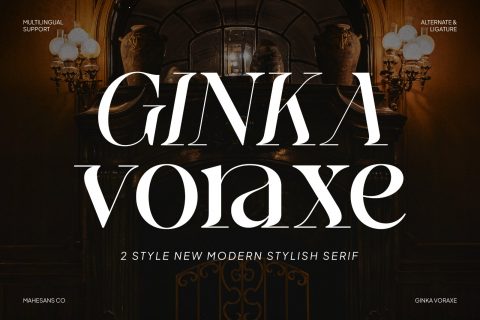 Ginka Voraxe – Modern Stylish Serif