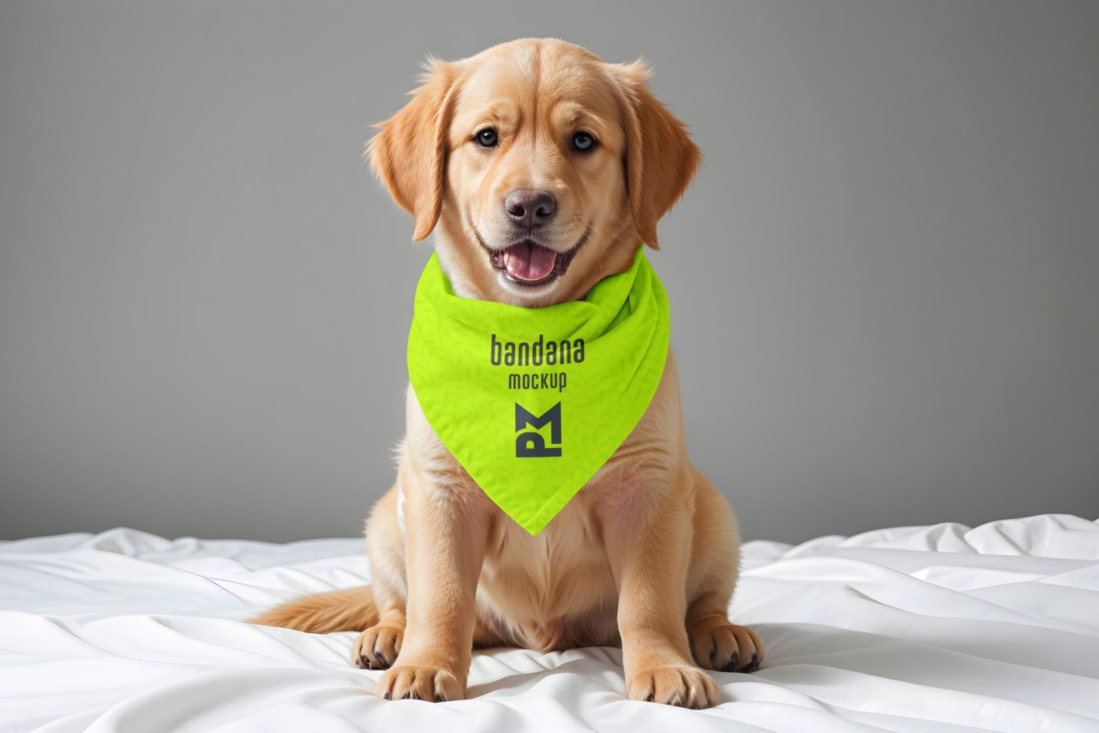 Cute Puppy Wearing a Bandana Mockup