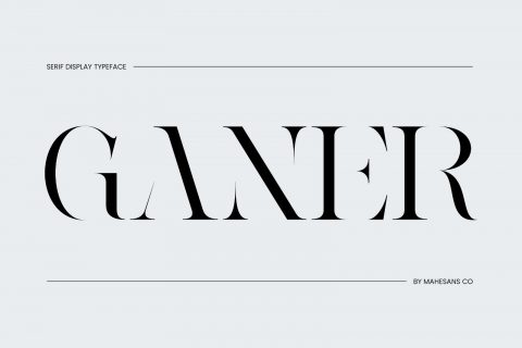 Ganer | Serif Display Font