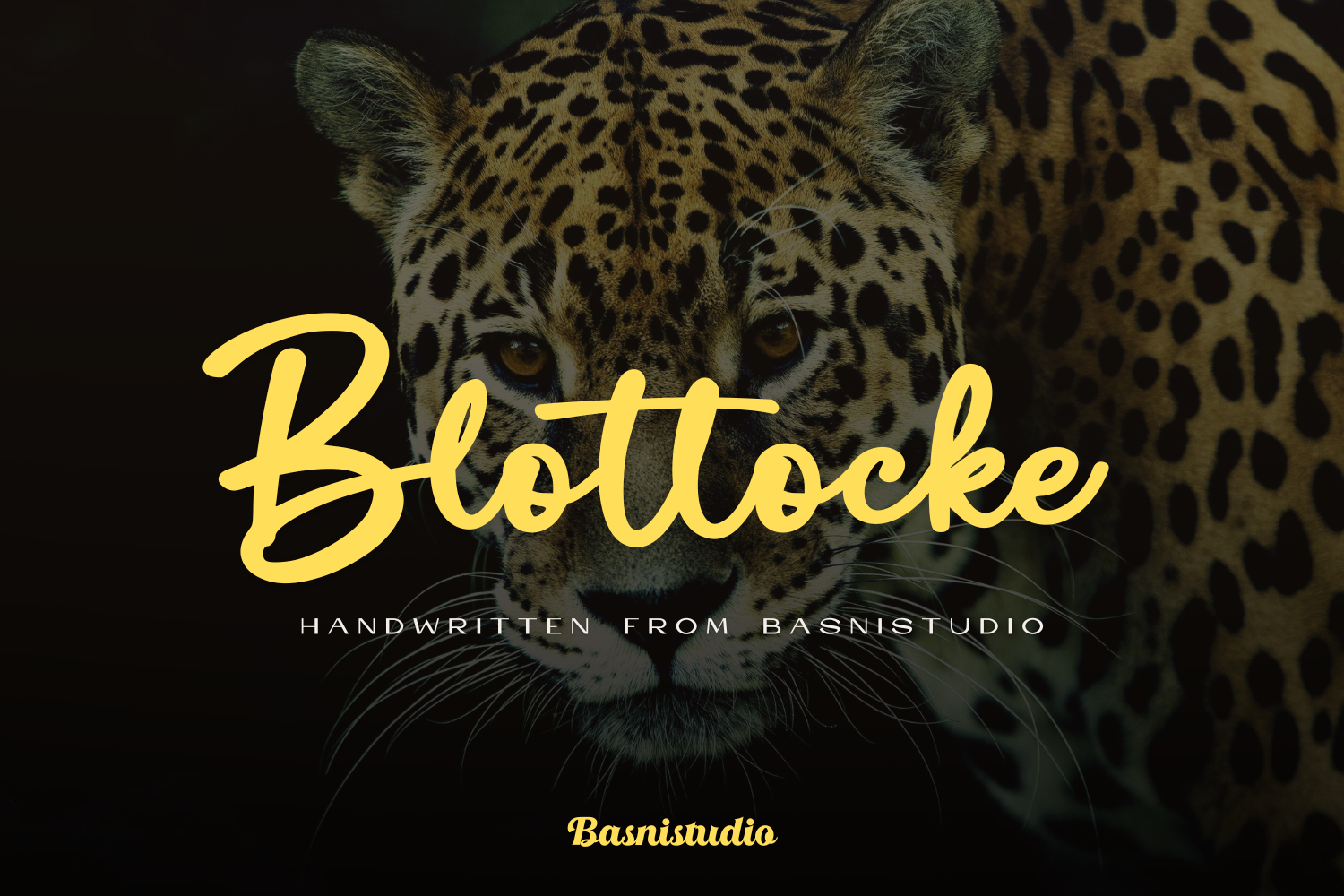 Blottocke Script Font