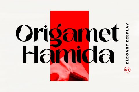 Origamet Hamida