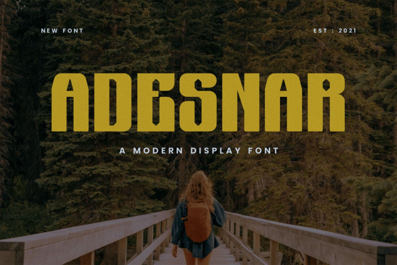 Adesnar display font free download