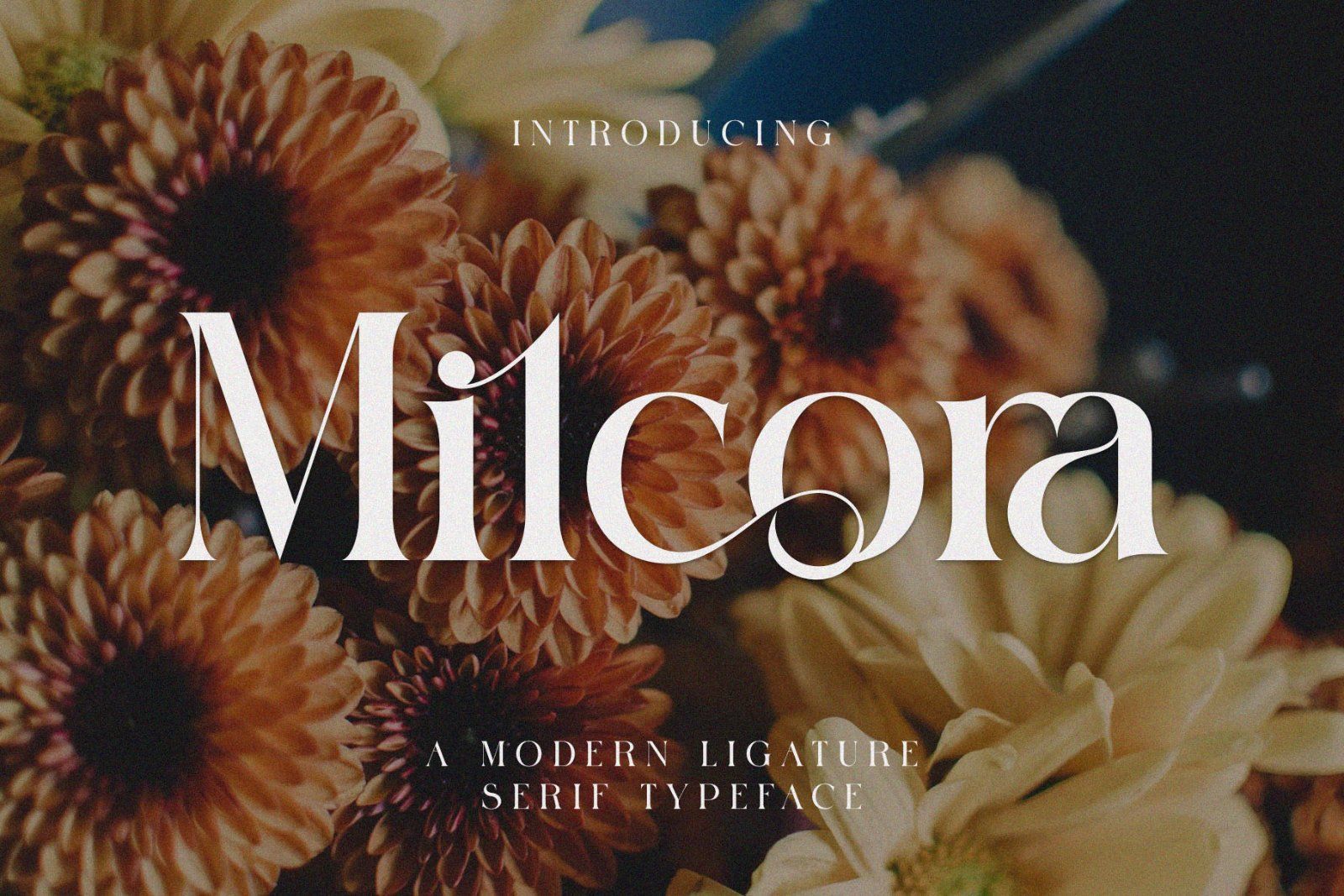 Milcora Modern Ligature Serif