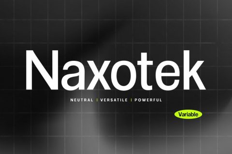 Naxotek
