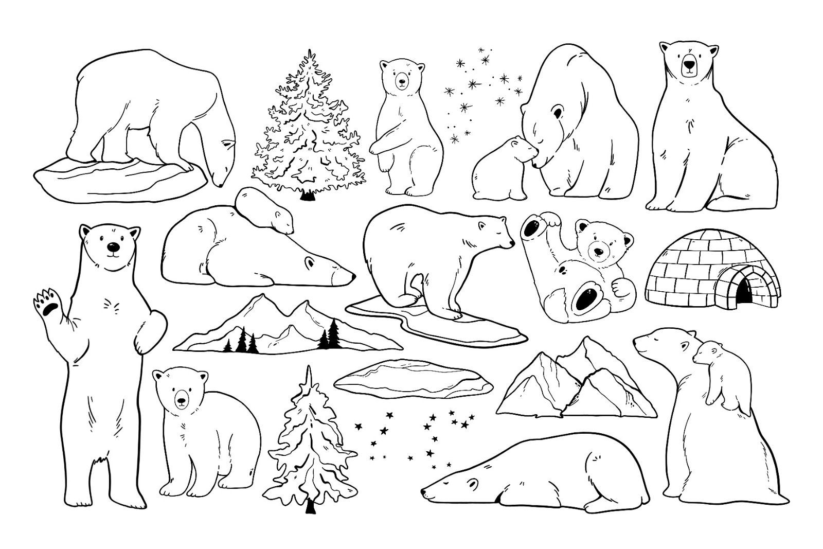Polar Bear Clipart PNG, Mama Bear SVG, Winter Arctic Animals Vector Outline