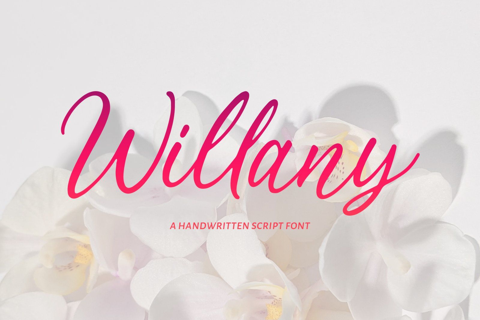 Willany - Handwritten Font