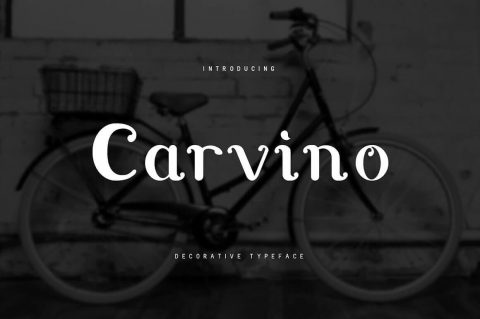 Carvino Font modern font files