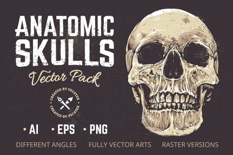 Anatomic Skulls Vector Pack