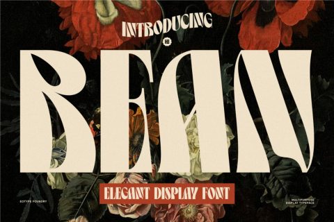 Bean - Display Font