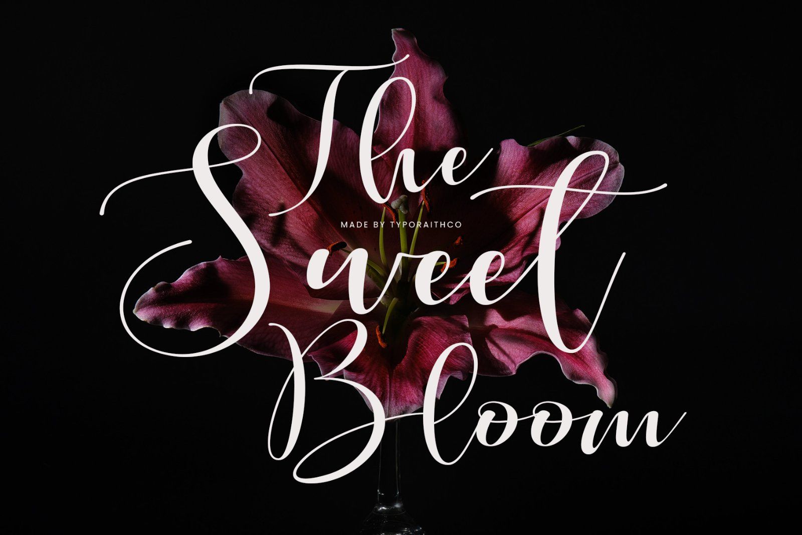 Cartney | Elegant Handwritten Script Font