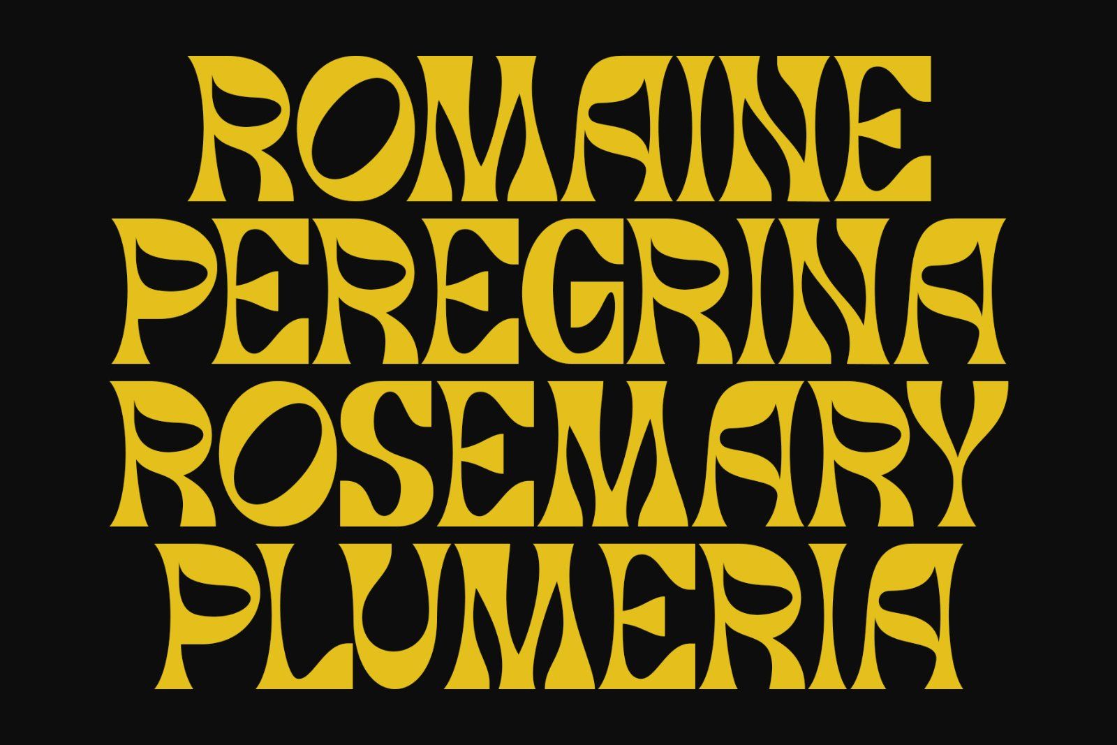 Asher | Modern Display Typeface