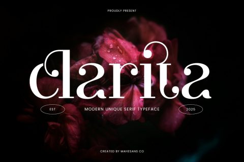 Clarita | Modern Unique Serif