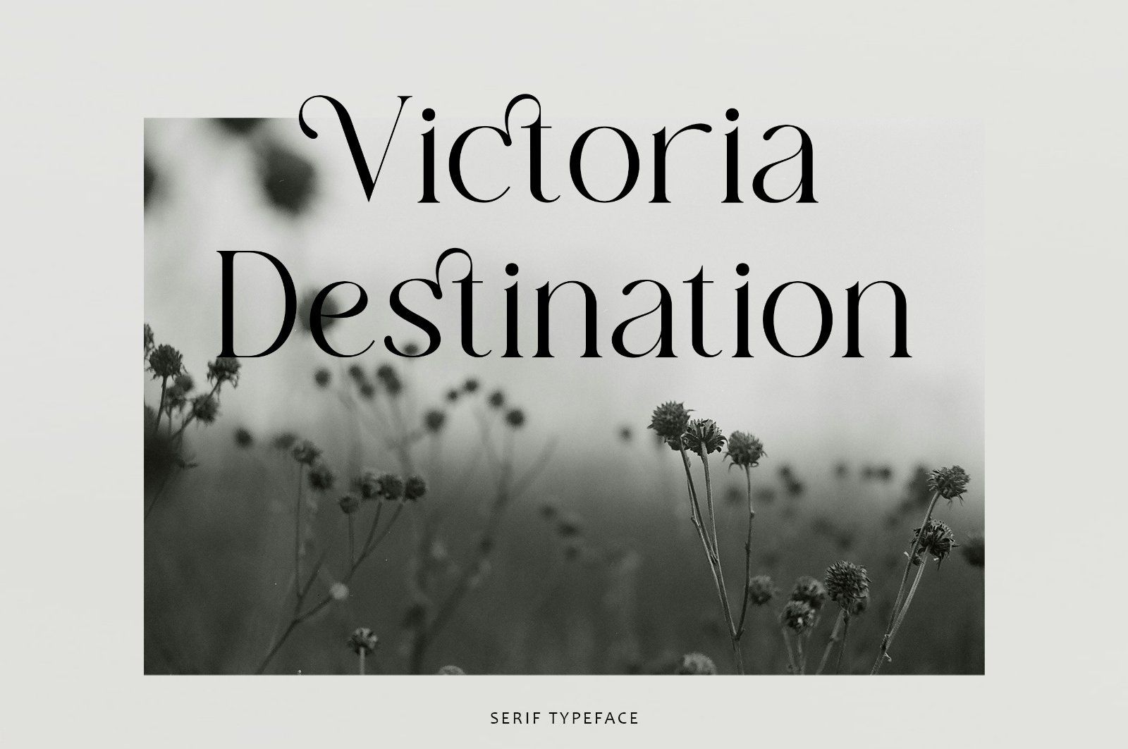 Manolisa - Elegant Serif Font