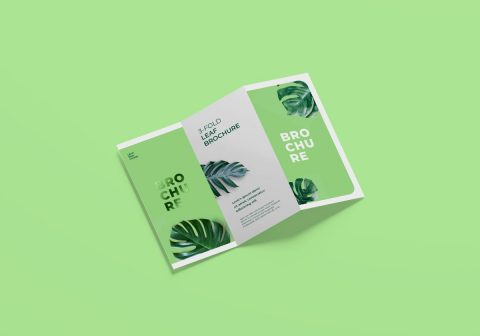3-Fold Brochure Mockups