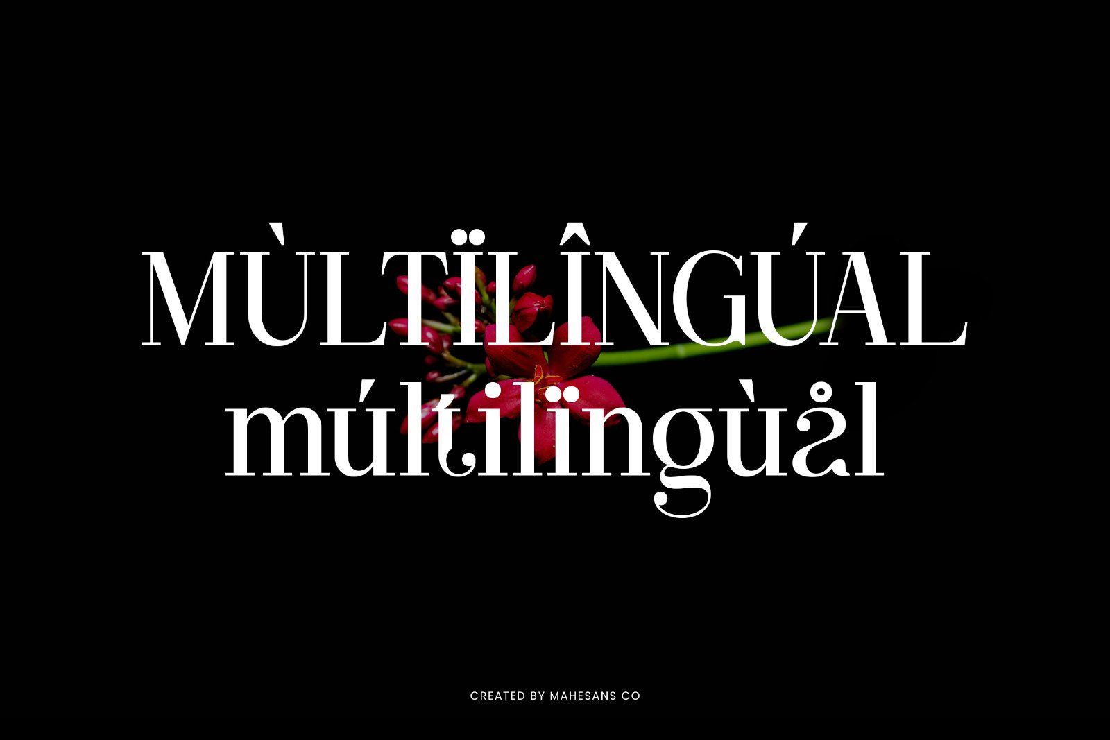 Clarita | Modern Unique Serif