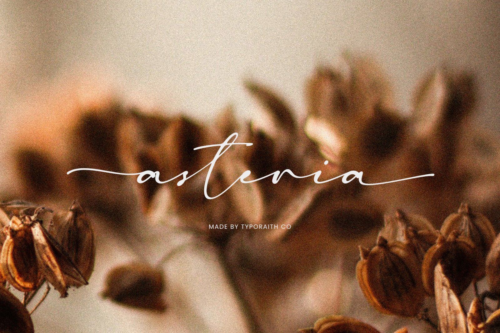 Madelisse | Elegant Signature Font