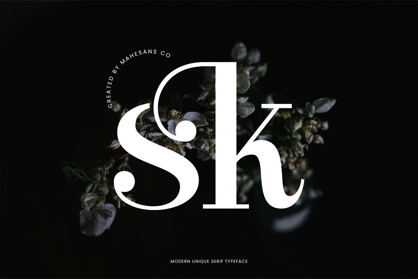 Clarita | Modern Unique Serif