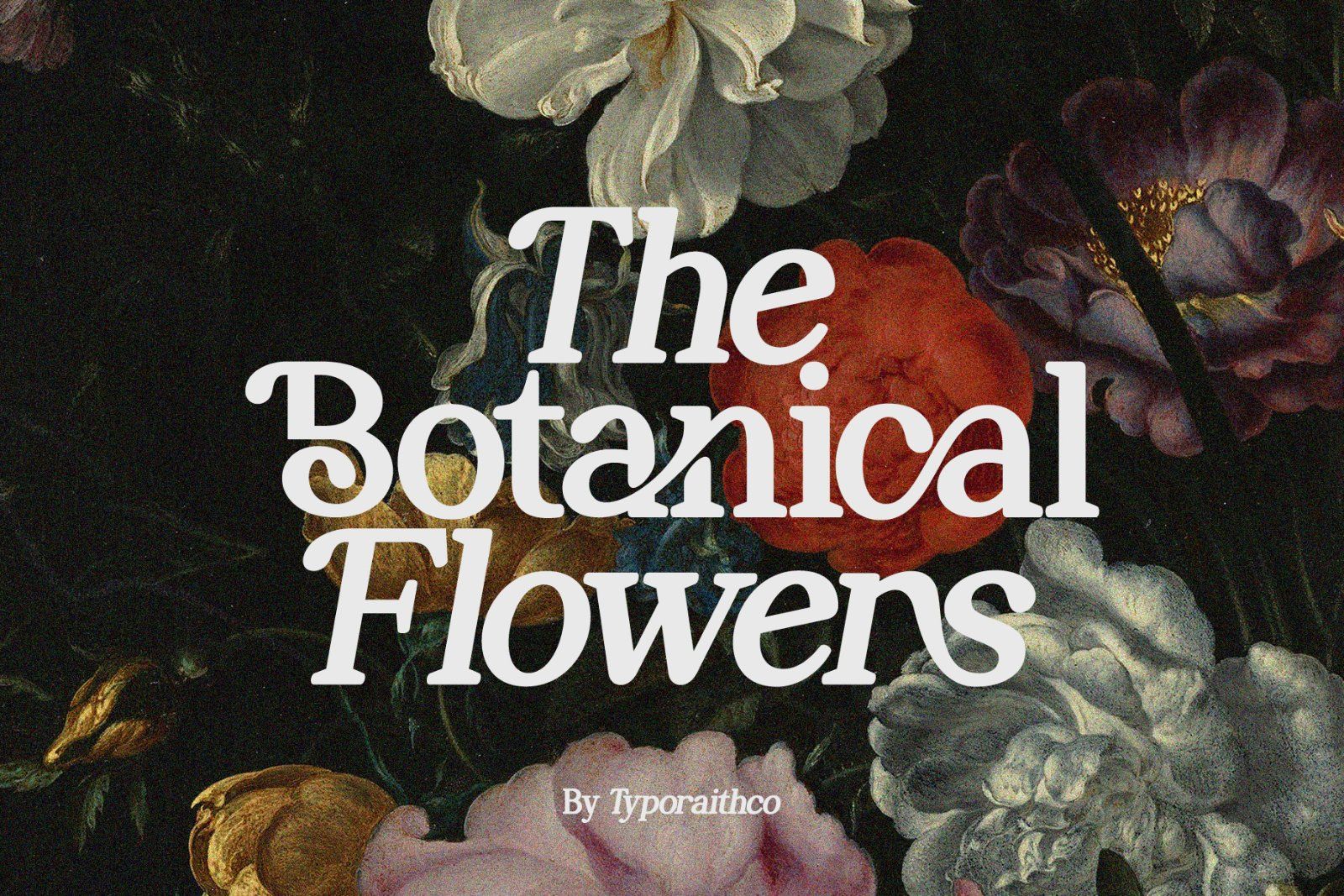 Perfect Mangue | Serif Duo Font