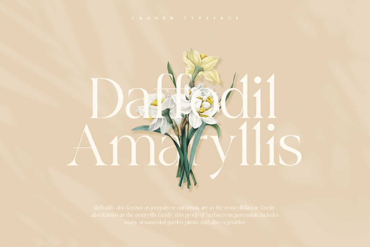 Caghen | Rich Ligature Serif