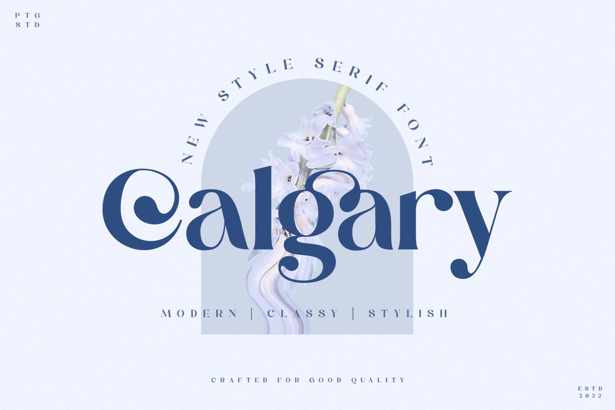 Calgary | New Stylish Serif Font