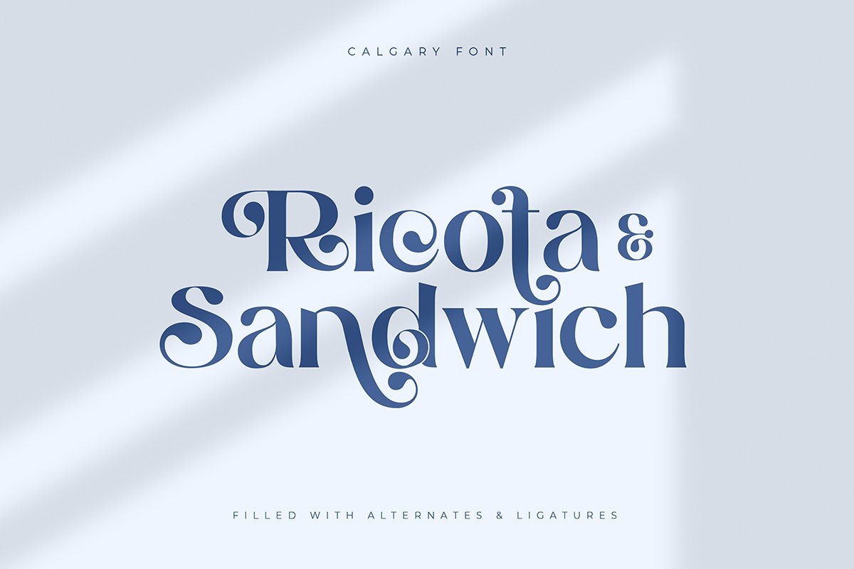 Calgary | New Stylish Serif Font
