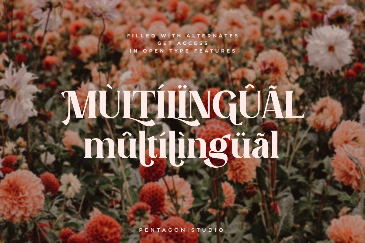 Evoria | Modern Serif Font