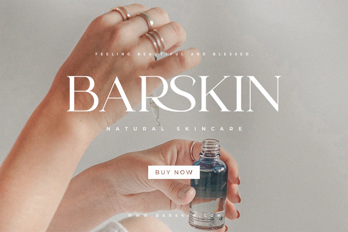 Lanche | Modern Elegant Serif Font