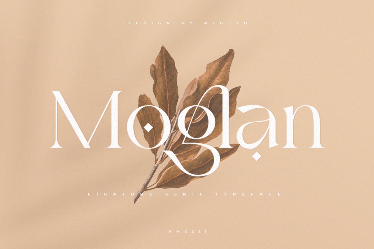Moglan | Ligature Serif Typeface