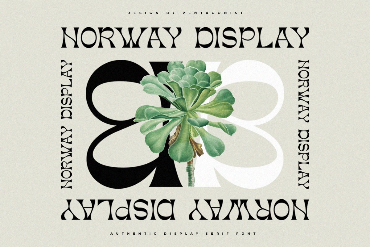 Norway | Authentic Display Typeface