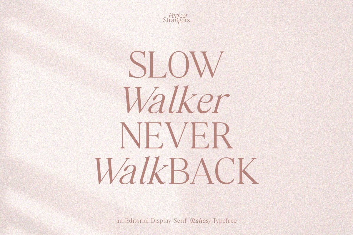 Perfect Strangers I Elegant Serif