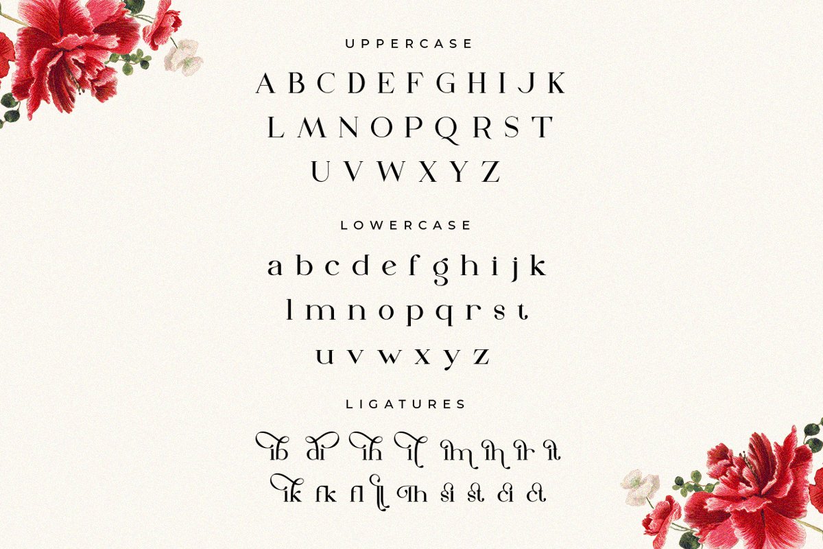 The Dough | Luxury Style Serif Font