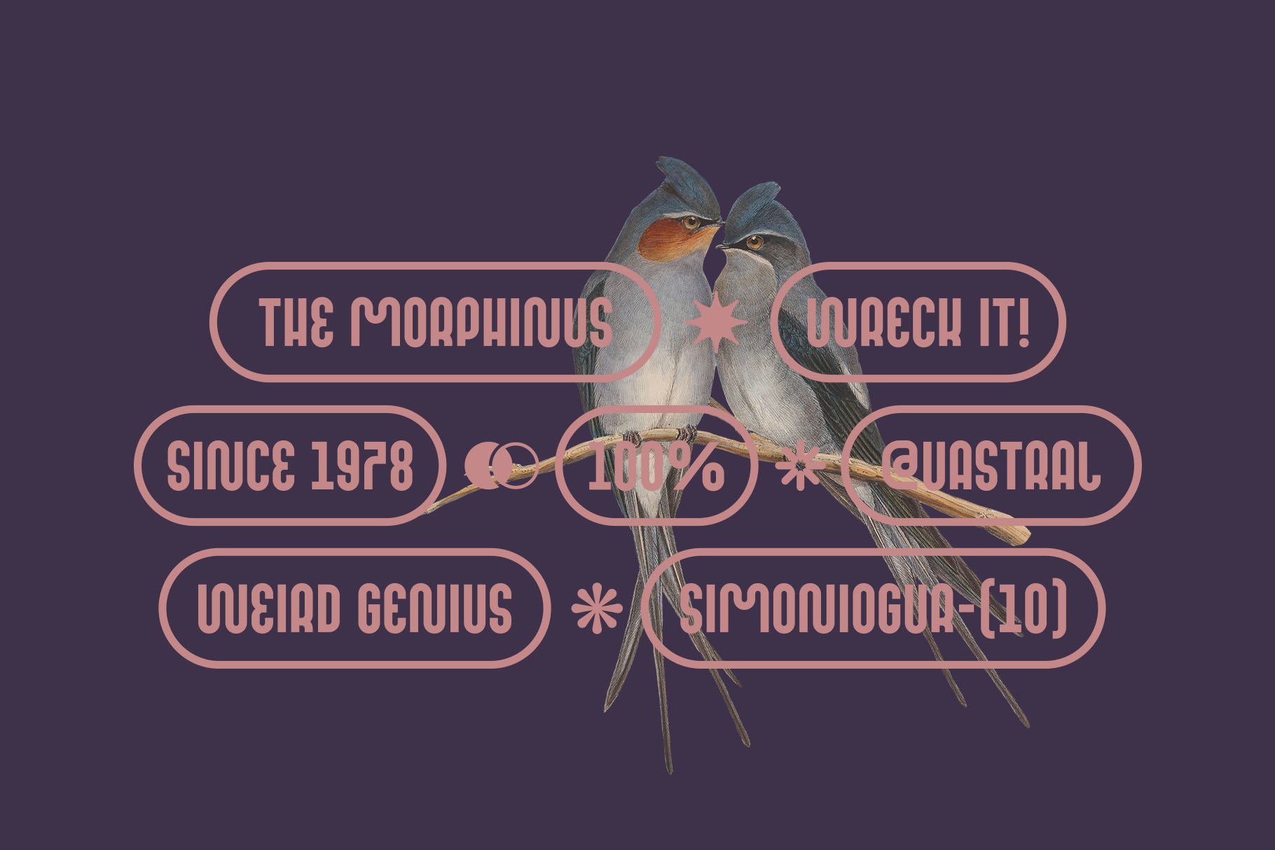 MOQARIN - Rounded & Playful Font