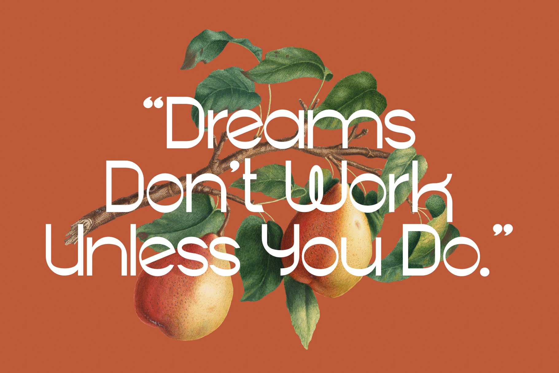 BAKEGO - Unique & Modern Typeface