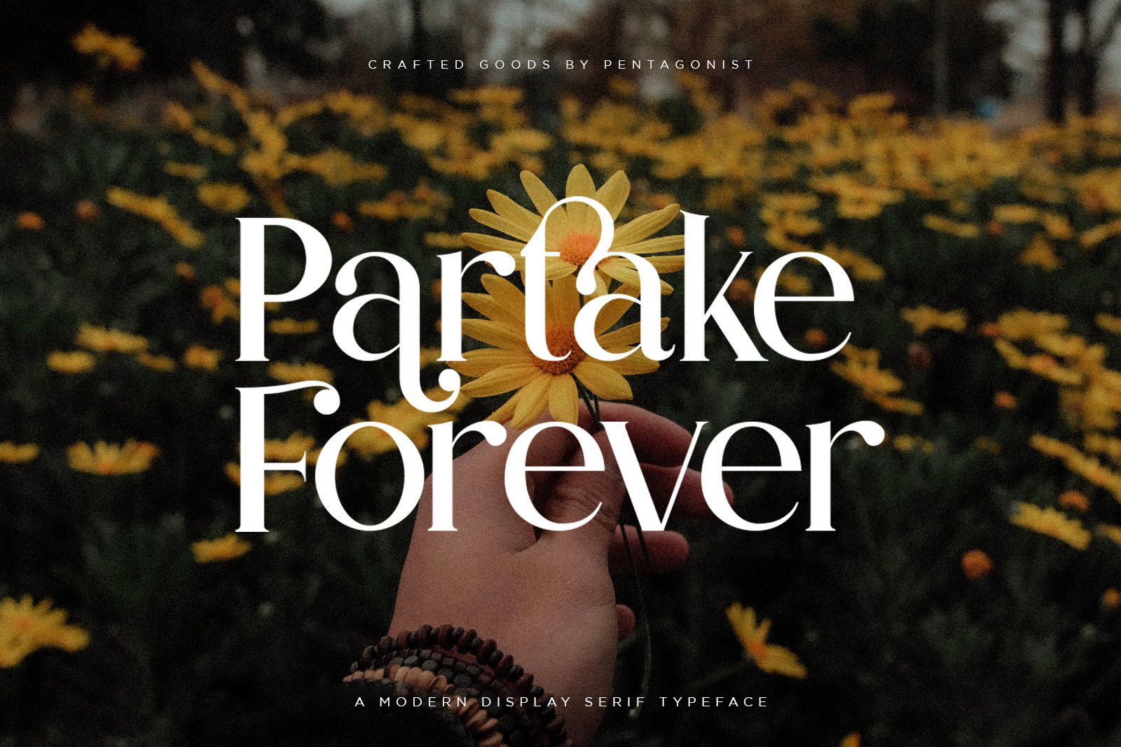 Partake | Modern Serif