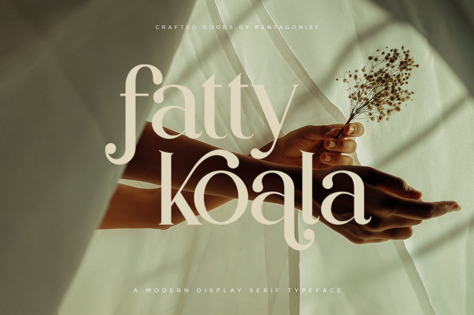 Partake | Modern Serif