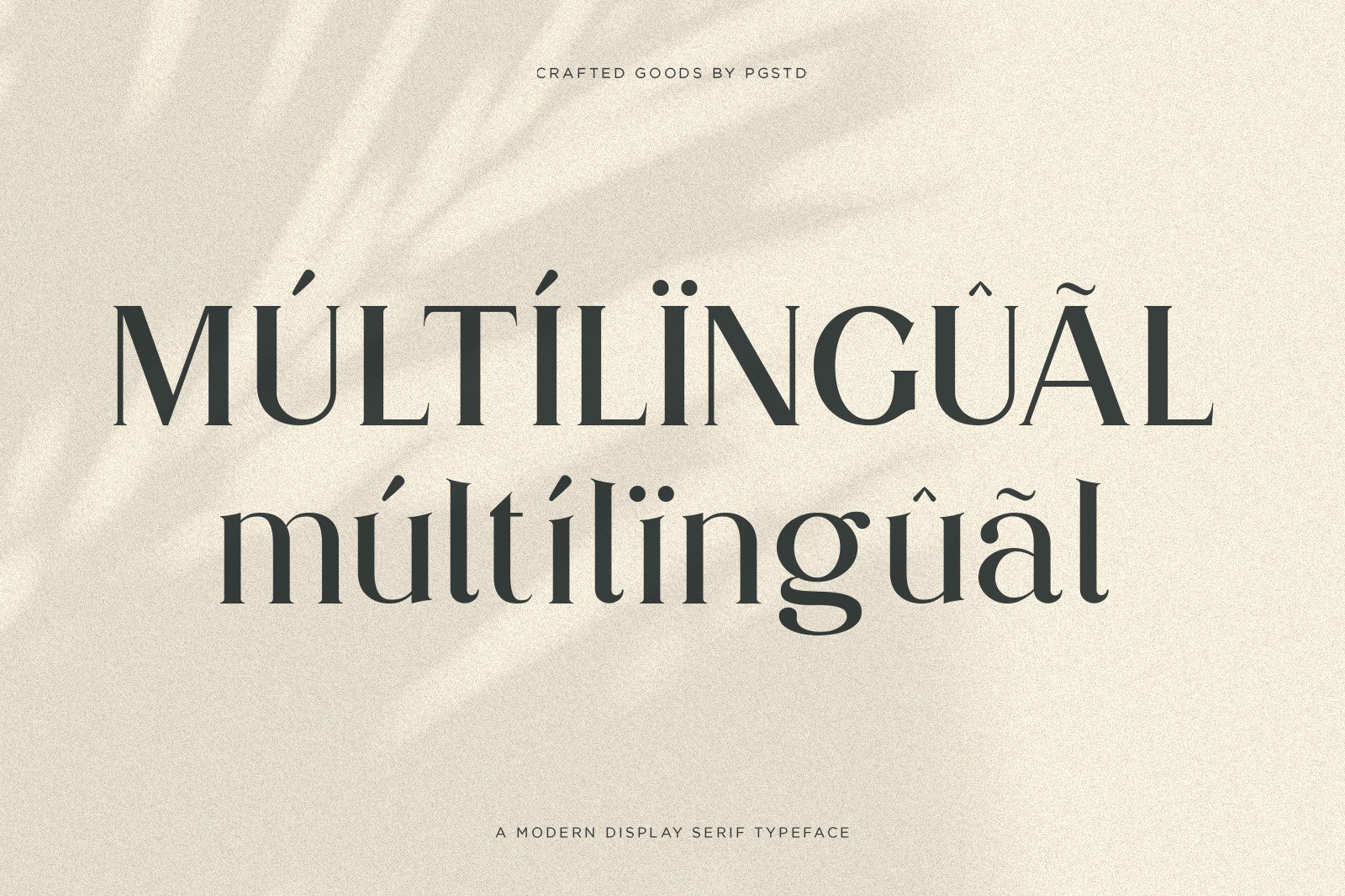 Partake | Modern Serif