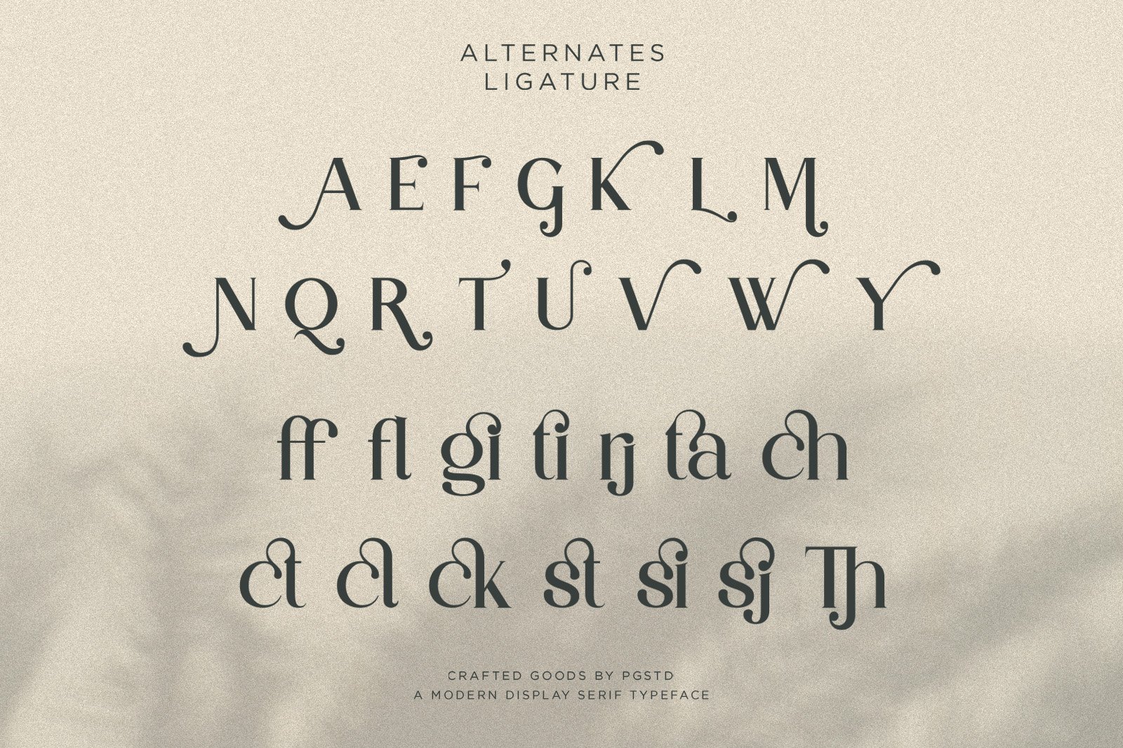 Partake | Modern Serif