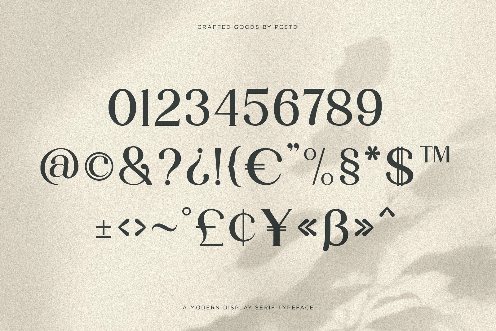 Partake | Modern Serif
