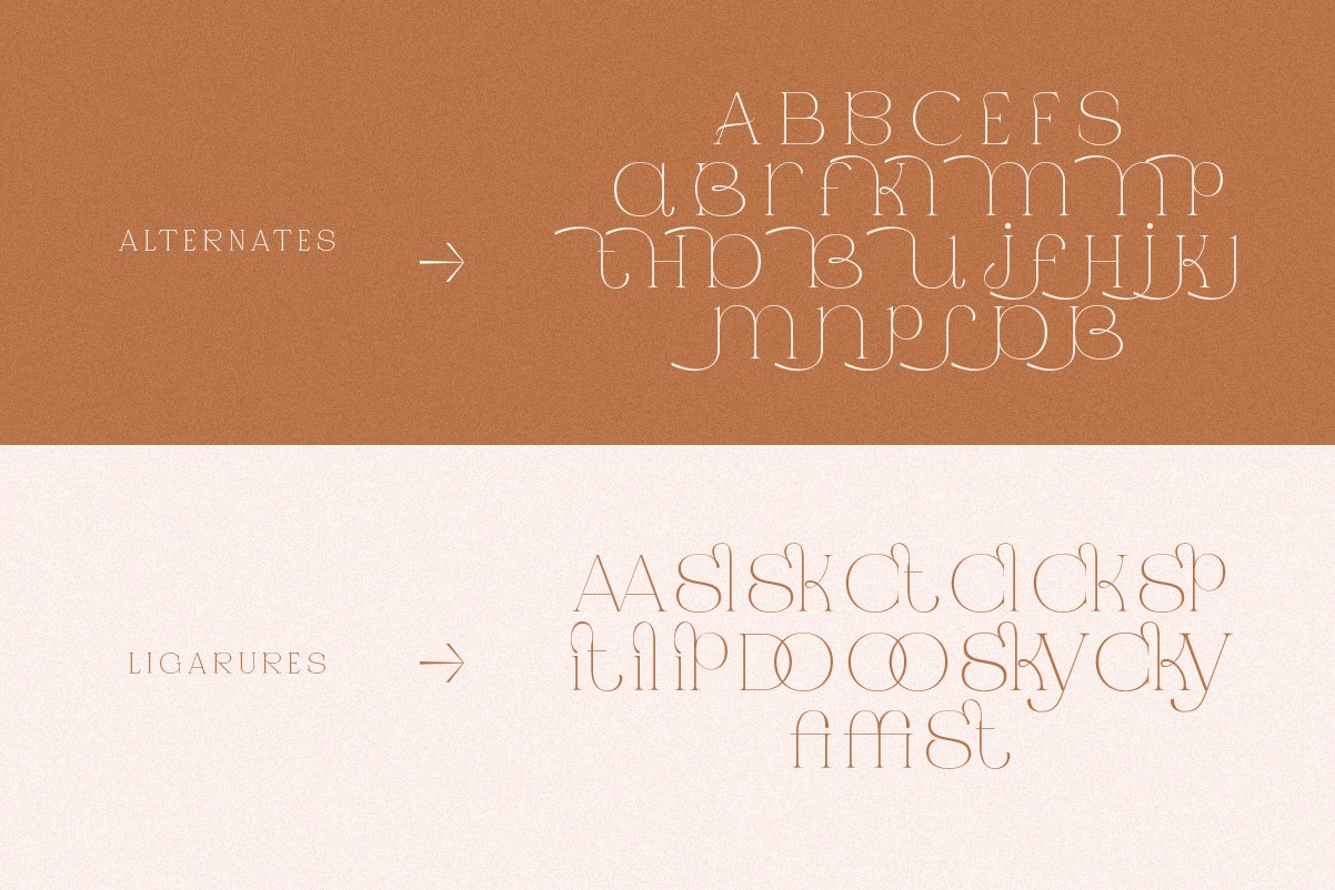 Jaque | Royal Serif
