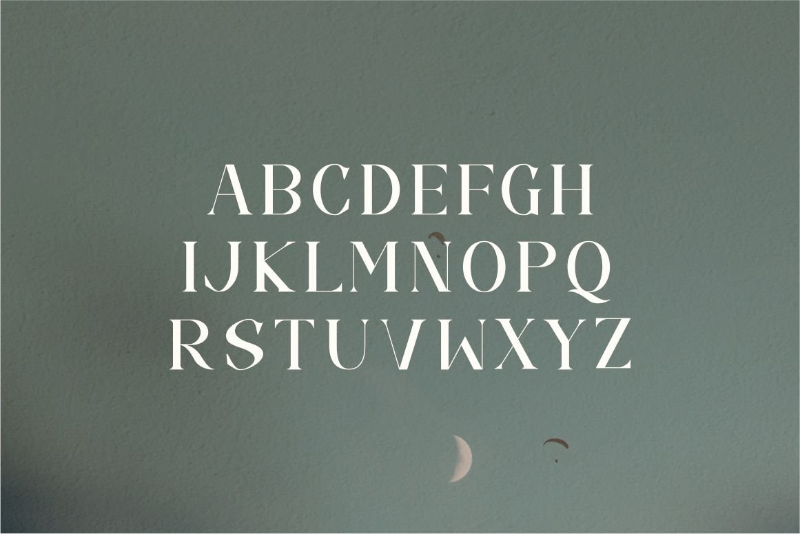 Camelia elegant serif font