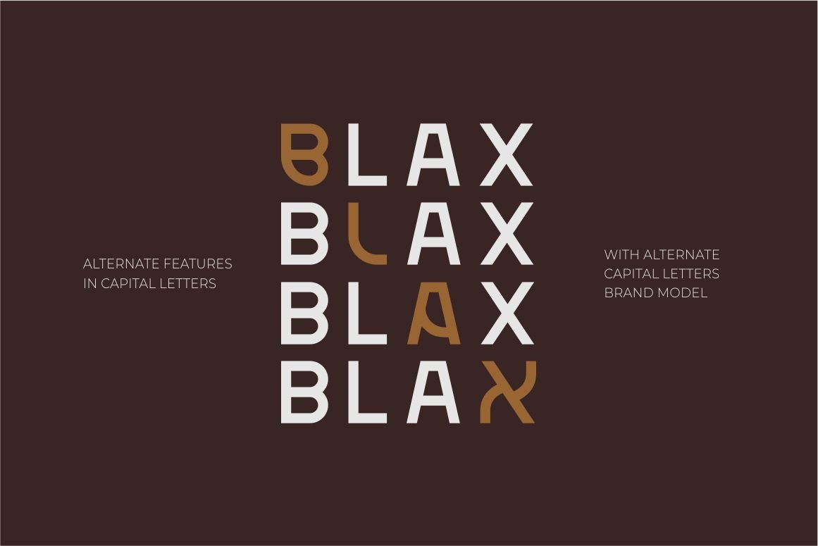 Blax - Sans Serif Alternate Font Family