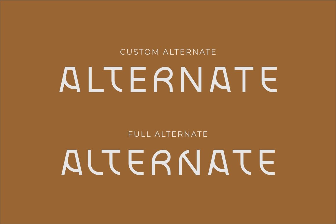 Blax - Sans Serif Alternate Font Family