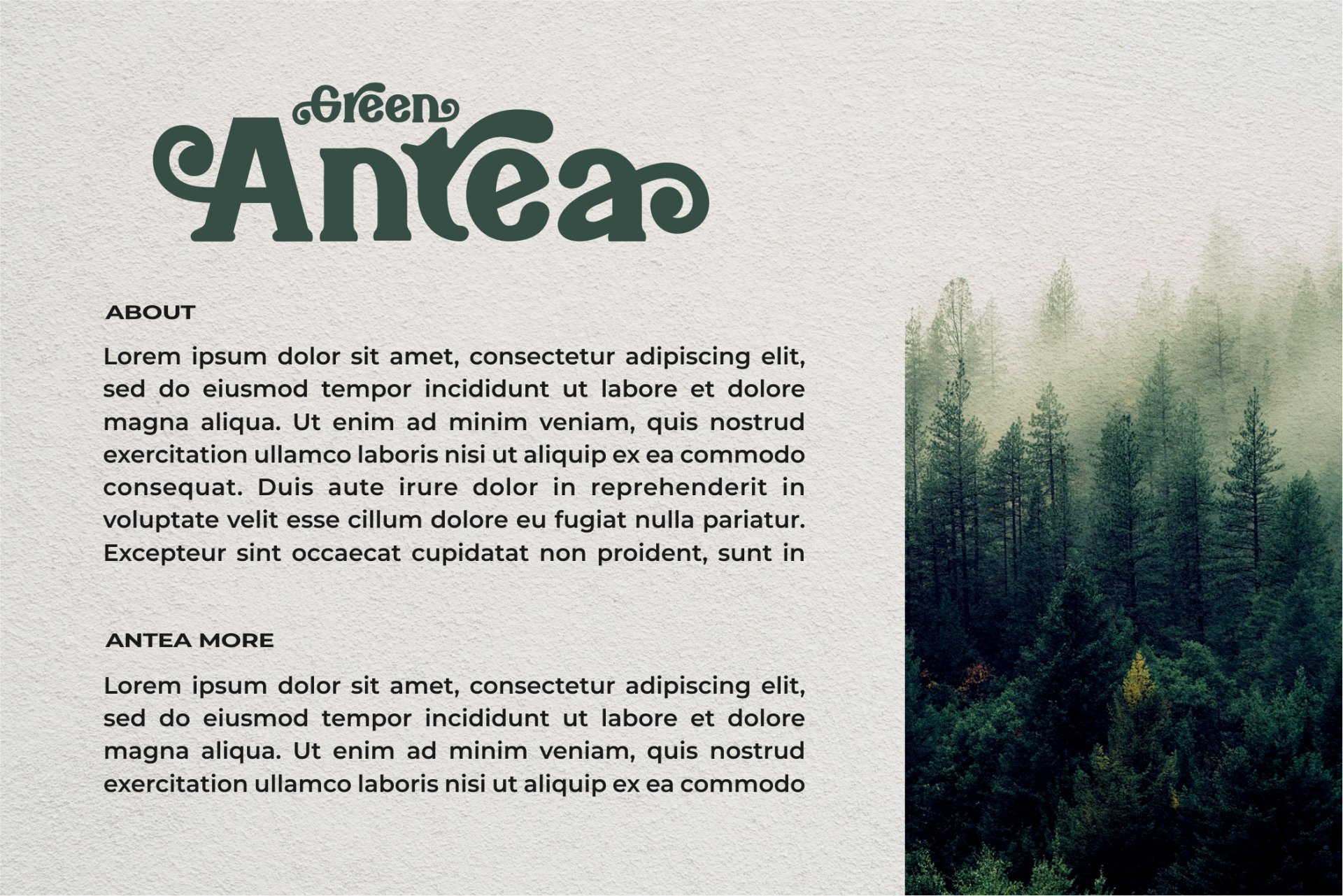 Bareno modern retro serif font